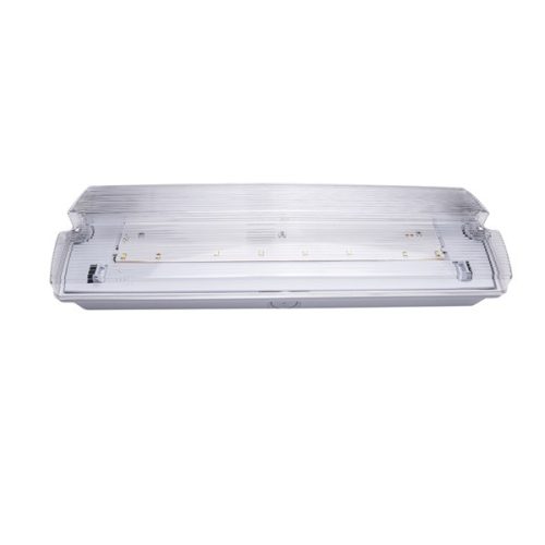 Iris Lighting I820EMEX3H3W IP65 3w 3h oldalfali biztonsági és irányfény lámpatest