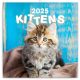 Realsystem 2025 Kittens 6097-KI falinaptár