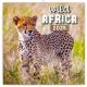 Realsystem 2025 Wild Africa 6097-WA falinaptár